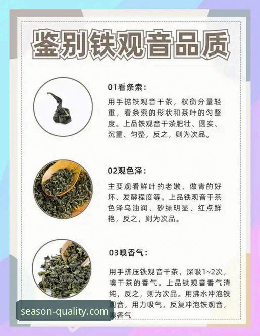 四季常青品质如何评测详解：从实战角度教你选对正品